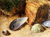 Bank Canvas Paintings - Still Life With Sea Shells On A Mossy Bank